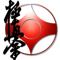 آموزش رزمی خصوصی