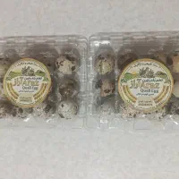 فروش تخم نطفه دار و خوراکی