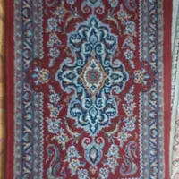 پادری زرشکی|پادری|فردیس, |دیوار