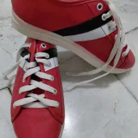 کفش نو وکار کرده