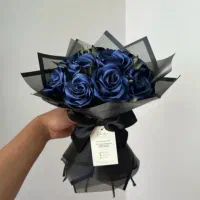 سفارش پذیرفته میشود