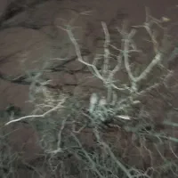 شاگرد چاه کنی میخوام