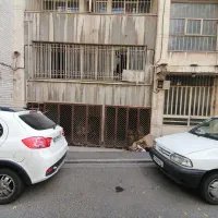 میدان آرژانتین خیابان الوند|فروش زمین و ملک کلنگی|تهران, گاندی|دیوار