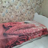 تخت یک نفره دوتا از یه مدل