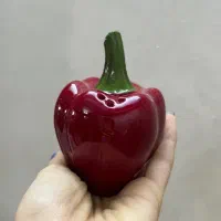 ظروف اشپزخانه