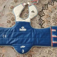 هوگو تکواندو