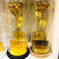 کادو گل و کارت طلایی|گل مصنوعی|شیراز, معالی‌آباد|دیوار