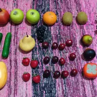 میوه مصنوعی و کدو تنبل خشک طبیعی قیمت مناسب|صنایع دستی و سایر لوازم تزئینی|ری, دیلمان|دیوار