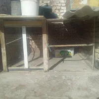 گنجه