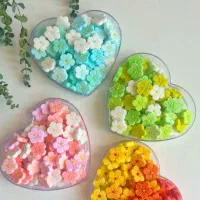 انواع‌قند‌ونبات‌های‌گیاهی‌وفانتزی