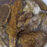 عسل کوهی جنگلی