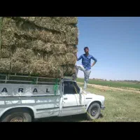 بیده درجه یک