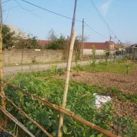 زمین مسکونی روستایی گیلان|فروش زمین و ملک کلنگی|رودبنه, |دیوار