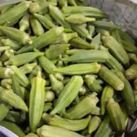 راهنمایی کنید