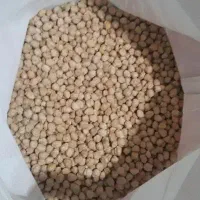 نخود گوکسو پاییزه دیم
