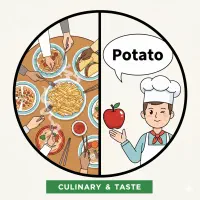 کانال های آموزش زبان انگلیسی برای مقاطع تحصیلی|خدمات آموزشی|مشهد, صیاد شیرازی|دیوار