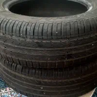 لاستیک ساینا