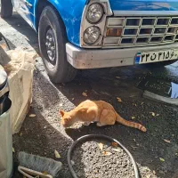 حمل بار با نیسان یخچالی تهران و حومه