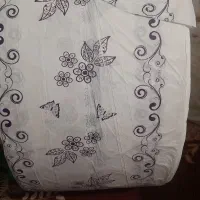 خورد کردن طاقه شما|سفره، حوله، دستمال آشپزخانه|همدان, |دیوار