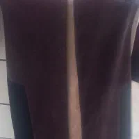 پالتو نو