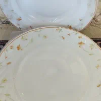 سرویس غذاخوری