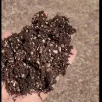 کوکوپیت و پرلیت