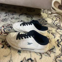 کفش کتونی و مجلسی|کیف، کفش، کمربند|گنبد کاووس, |دیوار