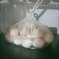 تخم مرغ|خوردنی و آشامیدنی|مسجد سلیمان, |دیوار