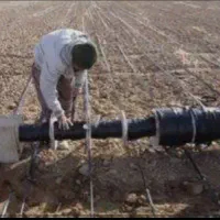 نیازمند کارگر کشاورزی|استخدام صنعتی، فنی، مهندسی|کازرون, |دیوار