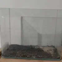 اکواریوم شرکتی لبه گرد سایز کوچک|ماهی|تربت‌حیدریه, حسنی بالا|دیوار