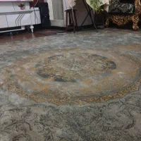 فرش ۱۲متی یک جفت