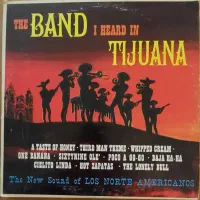 ۴ عدد صفحه گرام گرامافون 33 دور گروه tijuana|فیلم و موسیقی|تهران, فاطمی|دیوار