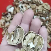 گردو پوست کاغذی امسال