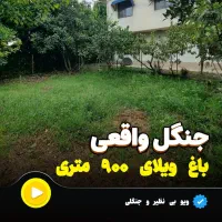 جنگل واقعی/باغ ویلا با سند