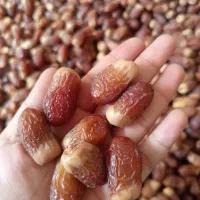 خرمای جاهین ۱۲۰ورنگنو درجه یک کیلویی ۳۰۰