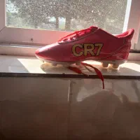 کفش|کیف، کفش، کمربند|رشت, استقامت ۱|دیوار