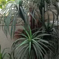 گلدان مصنوعی