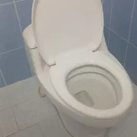 توالت فرنگی|لوازم سرویس بهداشتی|رفسنجان, |دیوار