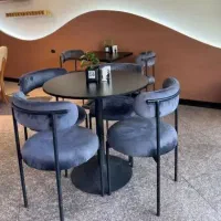 مدل نهارخوری فلزی تولیدی سورن