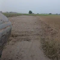 اجاره بیل|خدمات حمل و نقل|اندیمشک, |دیوار