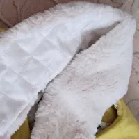 پالتو اصل|لباس|اردبیل, |دیوار