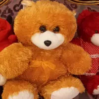 تعداد  ۱۲ عدد عروسک های قشنگ وبادوام|اسباب‌بازی بچه|شیراز, معالی‌آباد|دیوار