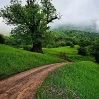 راهنمایی میخوام