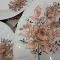 حراج فریزر فیلور سرویس چینی 9و7پارچه وتلفن نو|حراج|برخوار, |دیوار