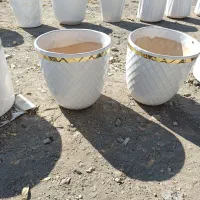 گلدان|گل و گیاه طبیعی|اسلام‌‌آباد غرب, |دیوار