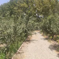 باغچه چهارباغ کامرانیه کد ۰۲۴۷