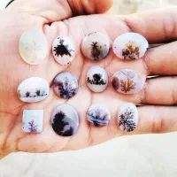 تعداد 60 عدد سنگ شجر|بدلیجات|تهران, هفت حوض|دیوار