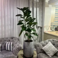 مبلمان چستر ۷ نفره دست دوز|مبلمان خانگی و میز عسلی|تهران, جیحون|دیوار