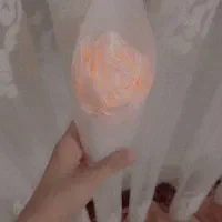 گل روبانی|گل مصنوعی|خوی, |دیوار