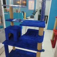 اسکرچر گربه